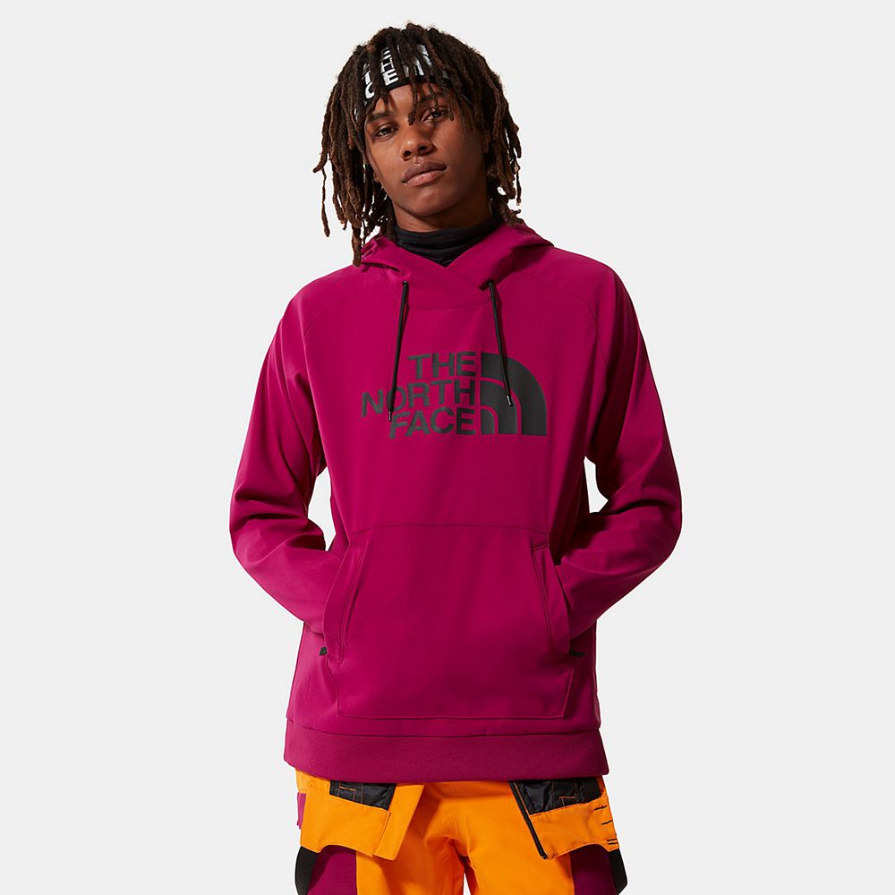 The North Face Hoodie Mens Australia - The North Face Tekno Logo Rose Skiing And Snowboarding (LMI-1